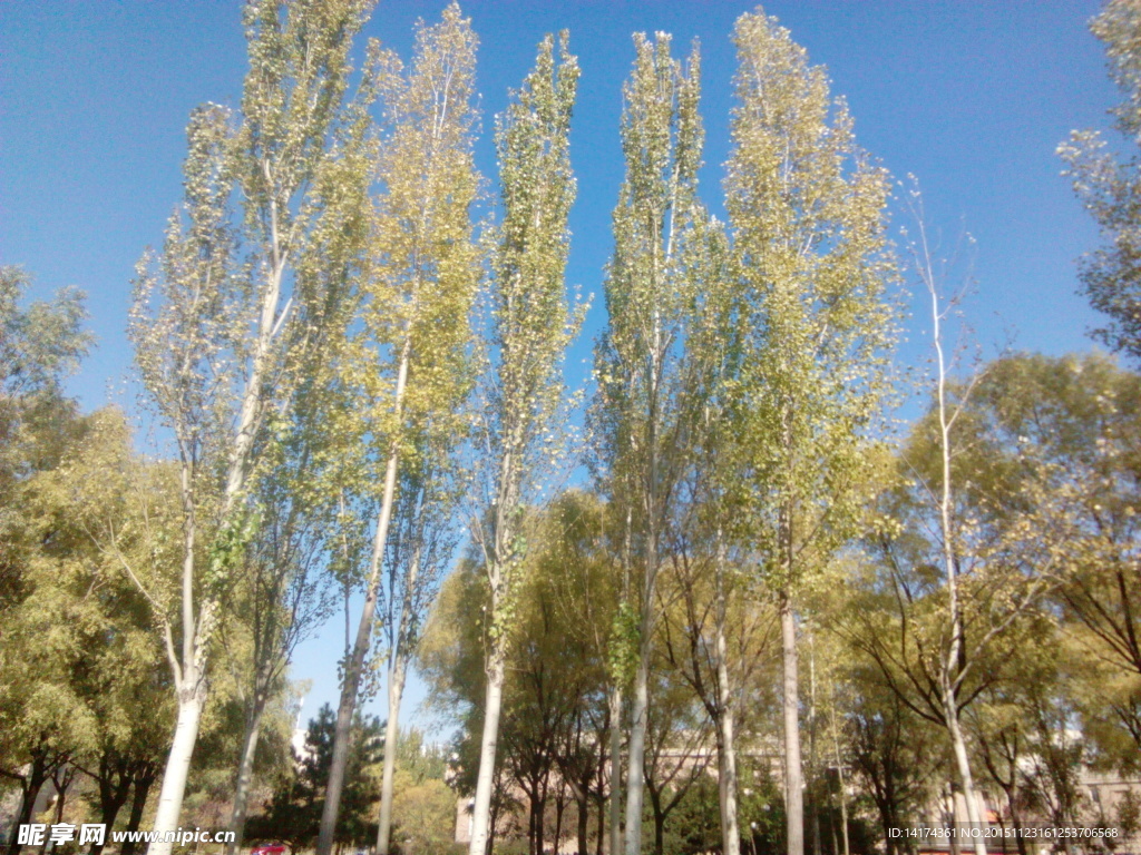 辽宁大学