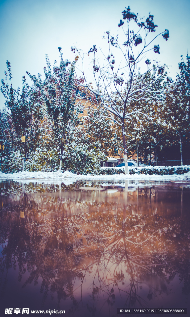 雪景