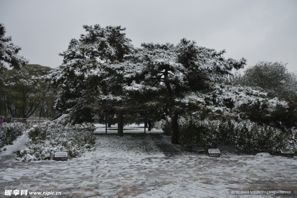 雪景