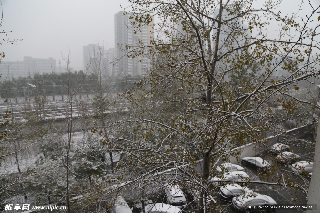 雪景