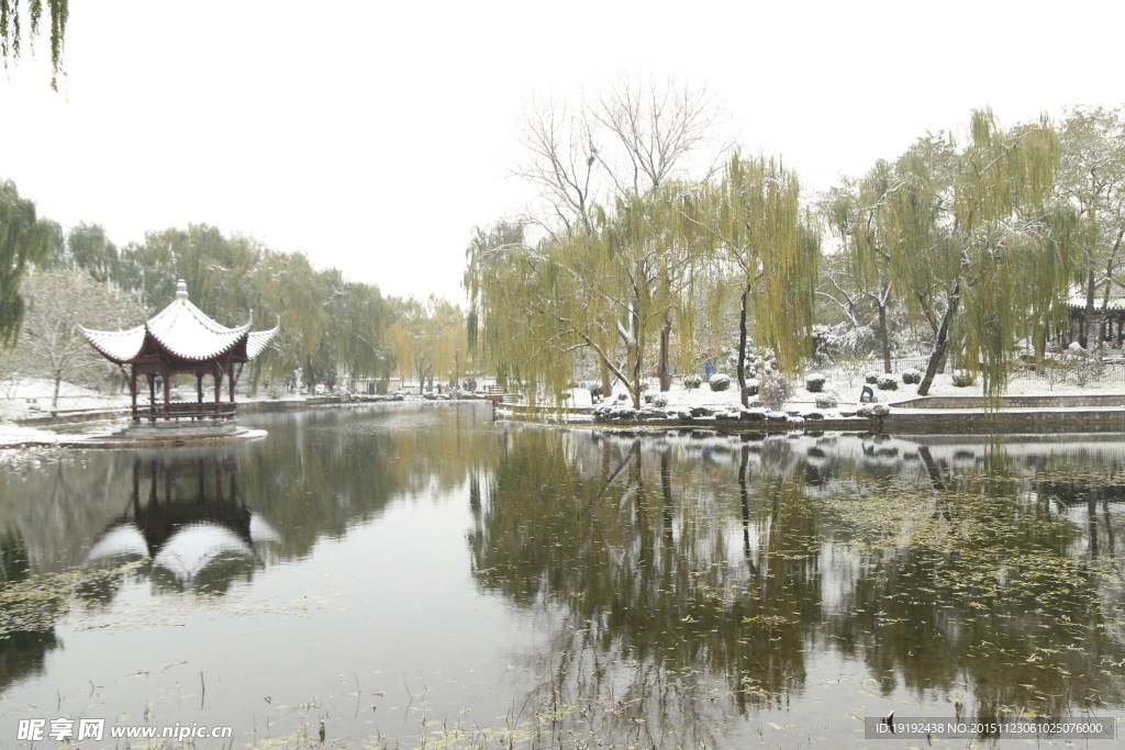 雪景