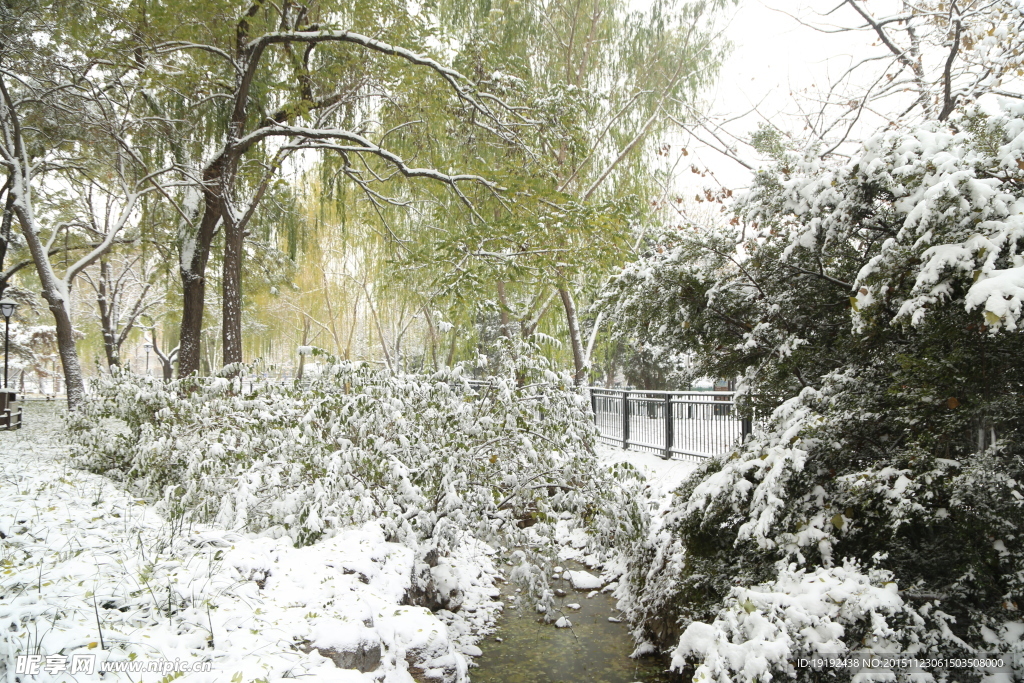 雪景