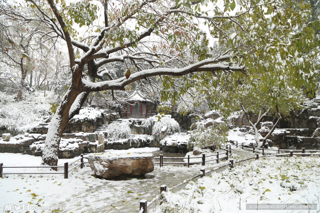 雪景