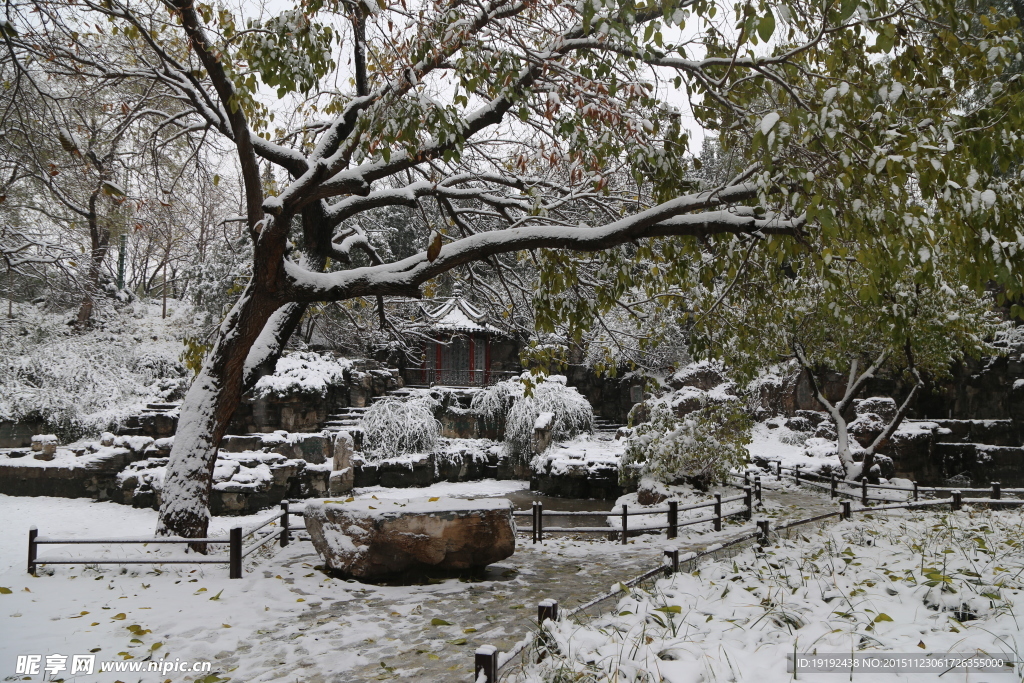 雪景