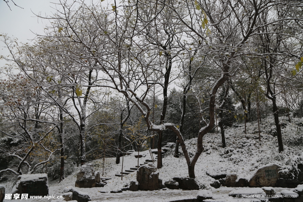 雪景