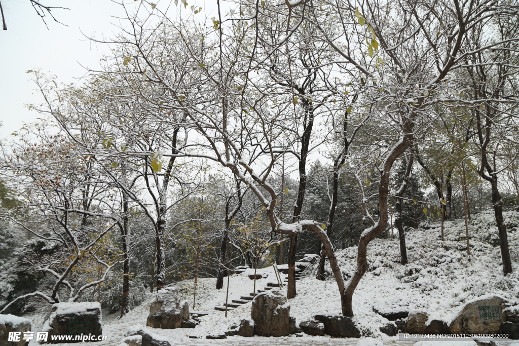 雪景