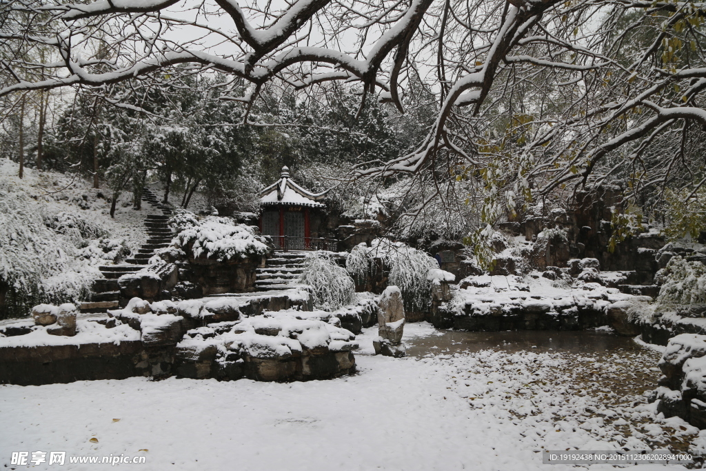 雪景