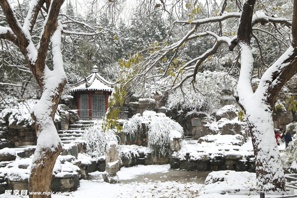 雪景