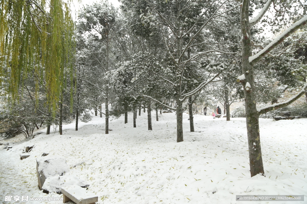 雪景