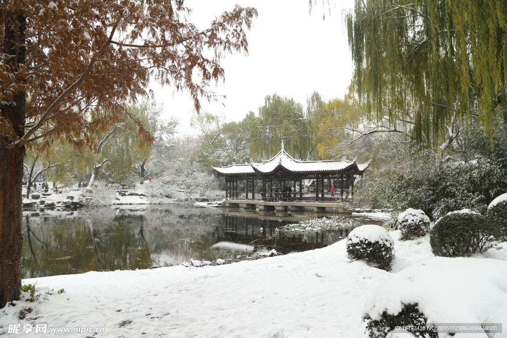 雪景