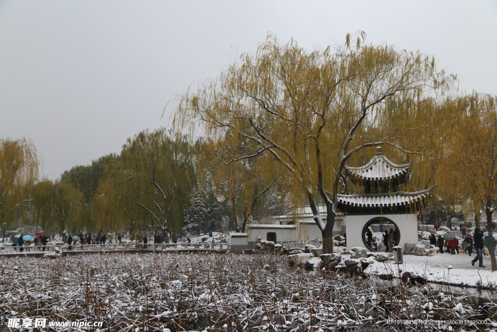 雪景