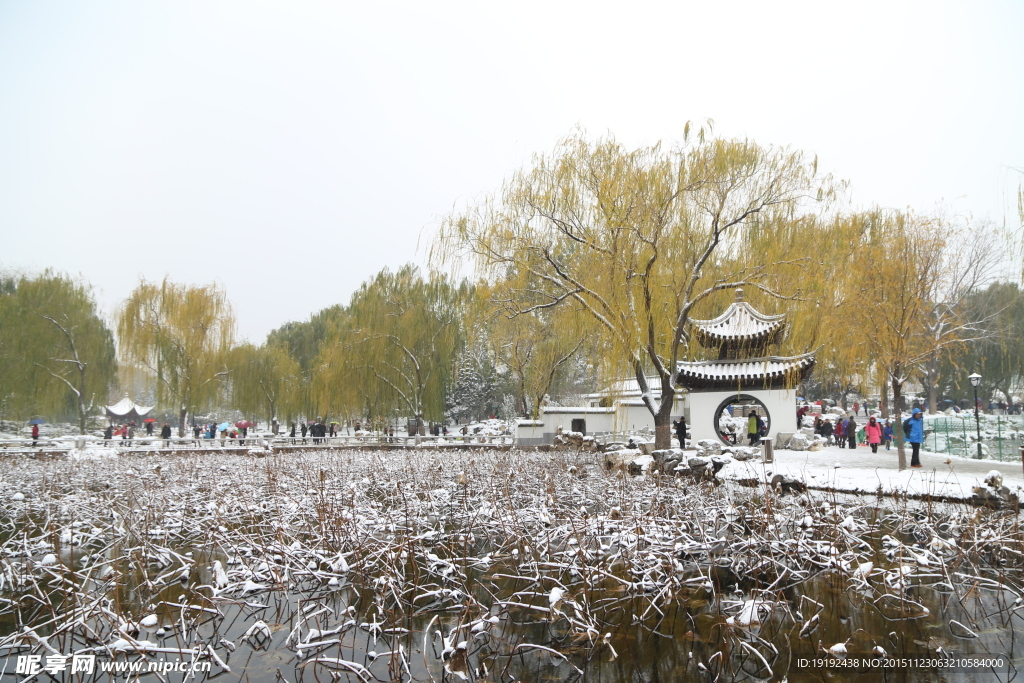 雪景