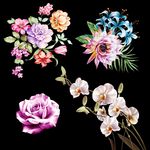 植物花纹牡丹