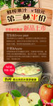 水果饮料