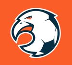 鹰LOGO