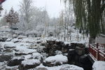 公园雪景