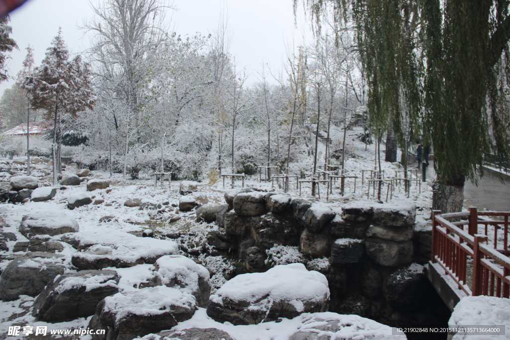 公园雪景