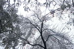 游乐场雪景