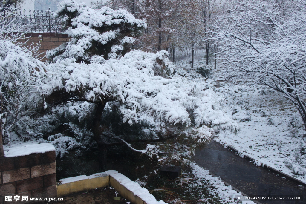 公园雪景