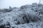 雪景