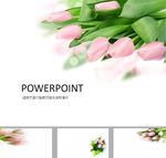 简约PPT   清新PPT