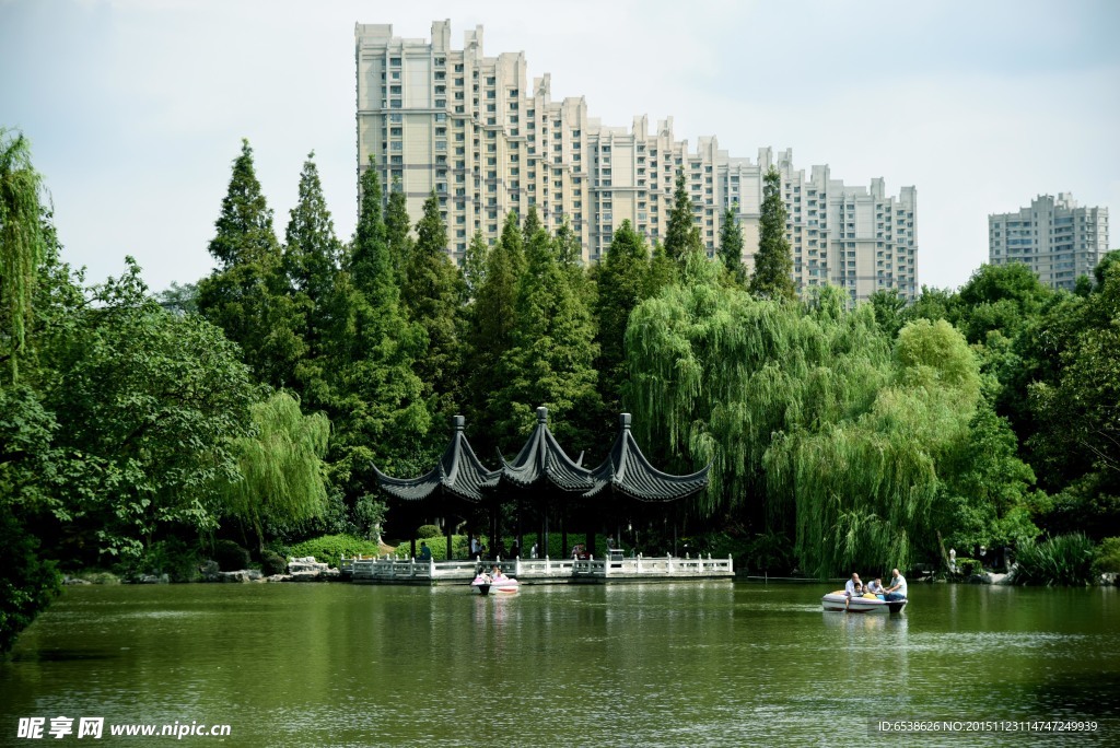 红梅公园风景