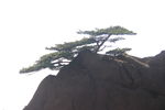 黄山 云海 云雾 山顶云雾 雾