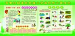 中小学生森林防火