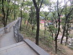 法王寺东侧