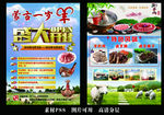 蒙古涮羊肉  宣传单