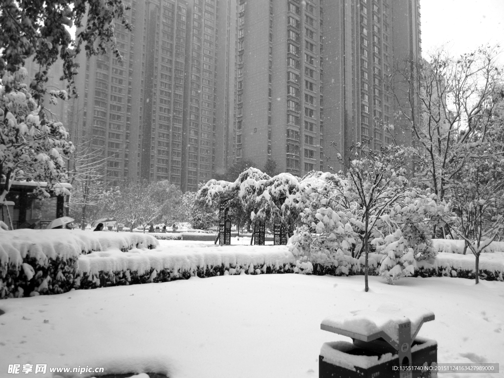 雪景