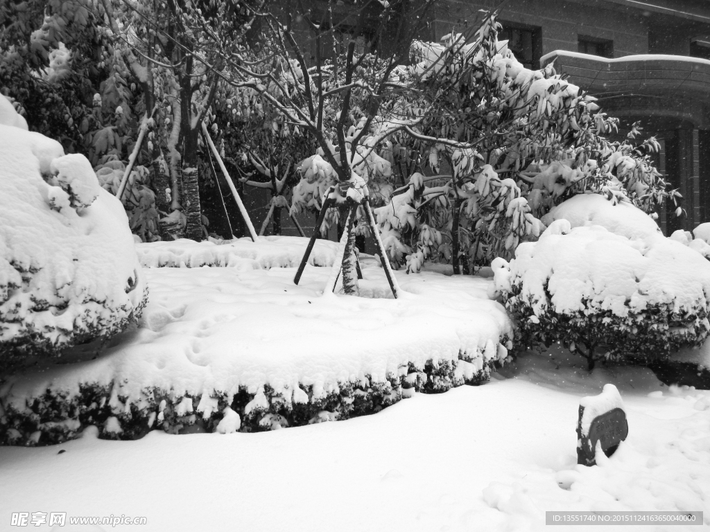 雪景