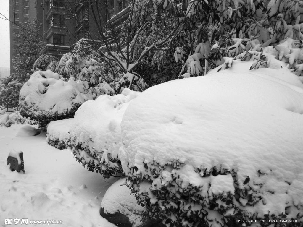 美丽的雪景摄影图__自然风景_自然景观_摄影图库_昵图网nipic.com