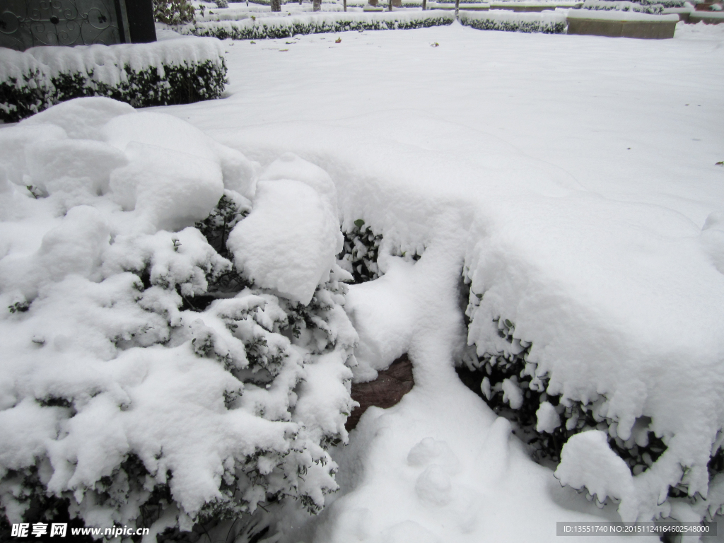 瑞雪