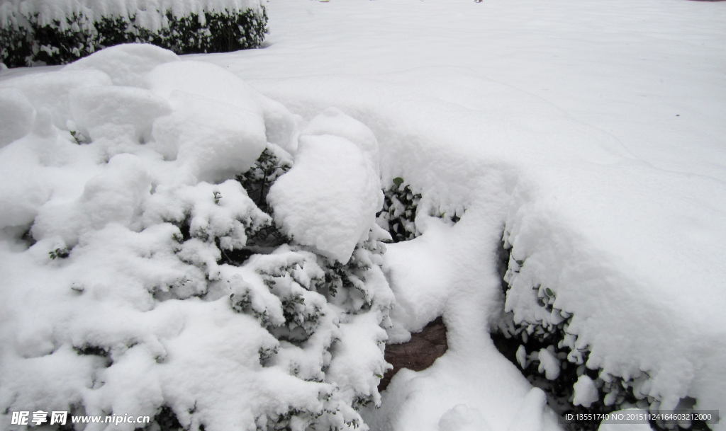 瑞雪