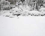 雪景