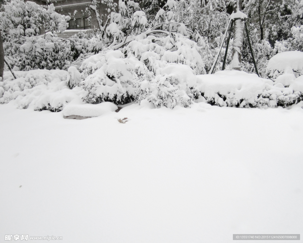 雪景