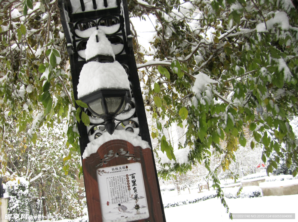 雪景