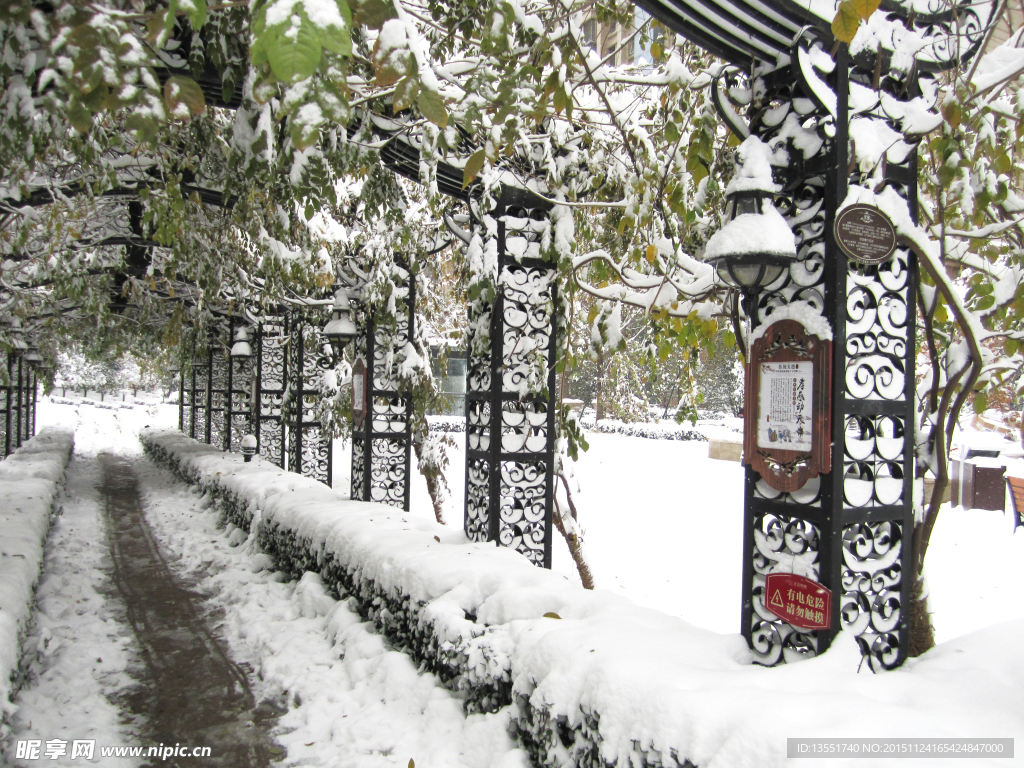 雪景