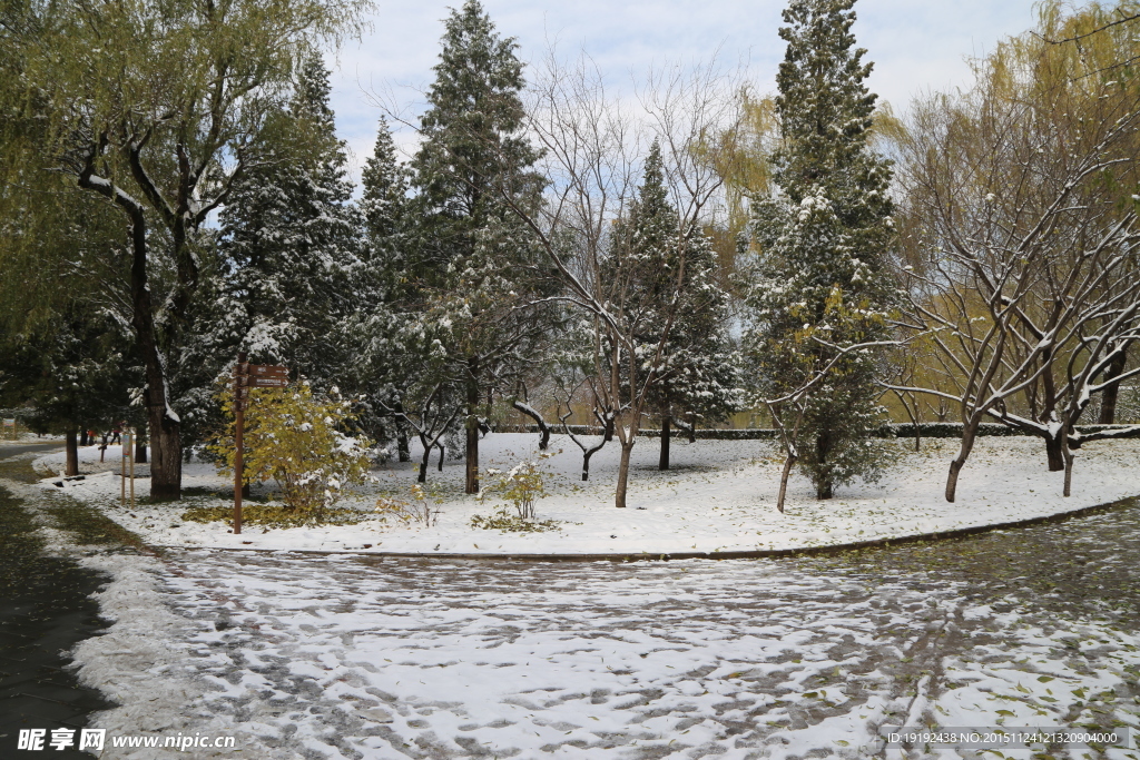 雪后的景色