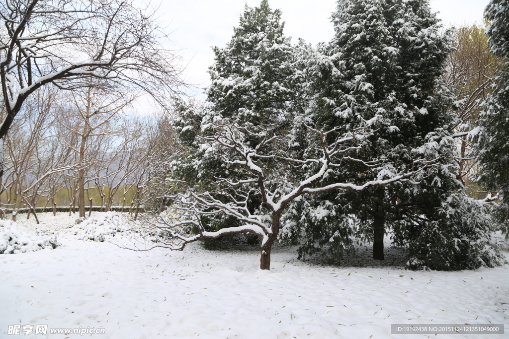 雪后的景色