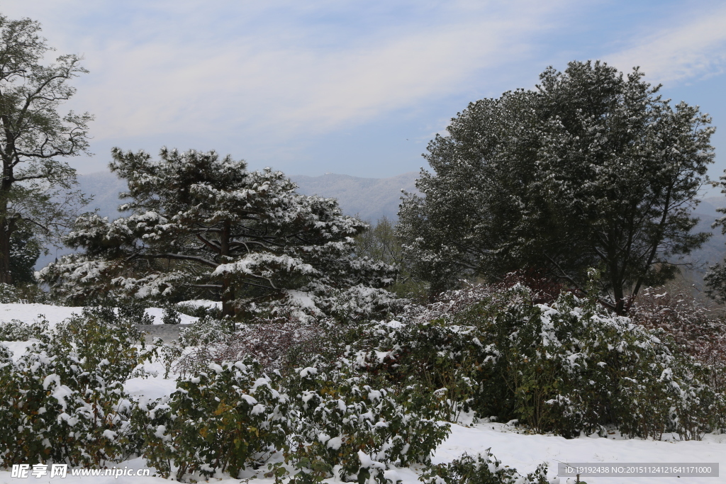 雪景