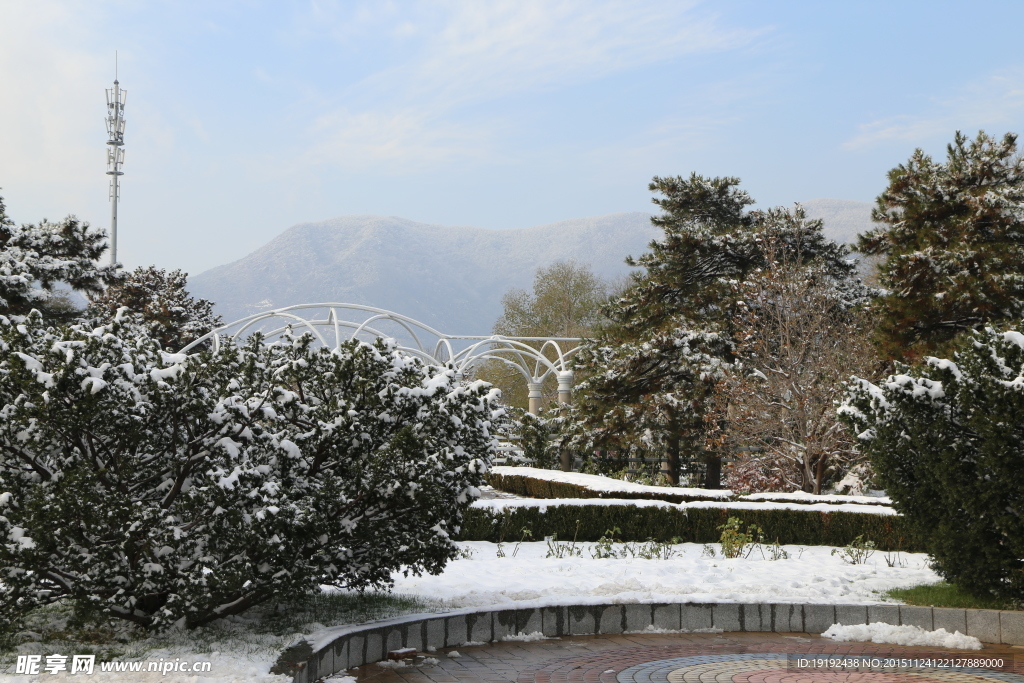 雪后的景色