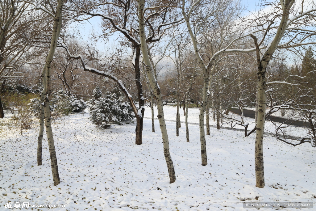 雪景