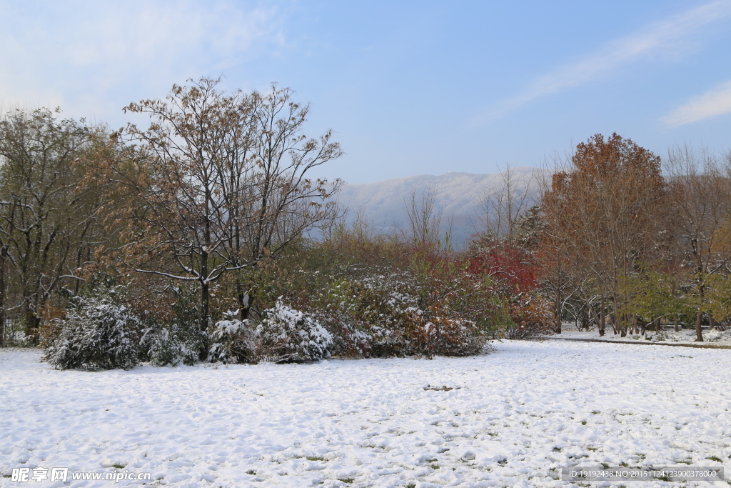 雪景