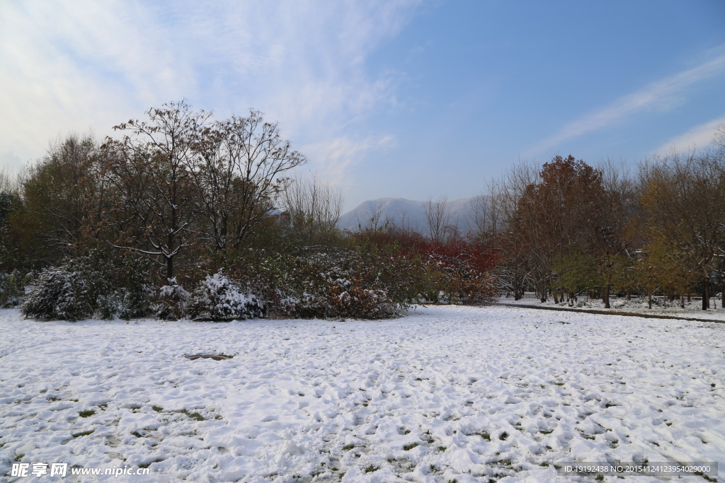 雪景