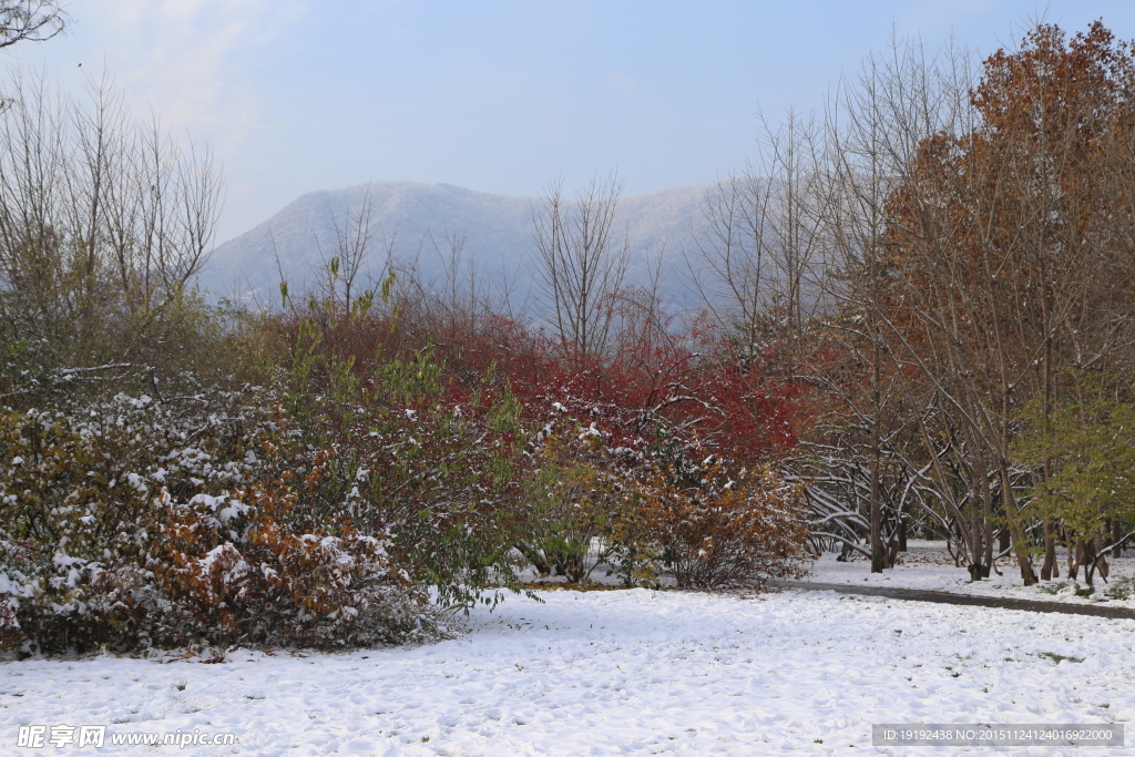 雪景