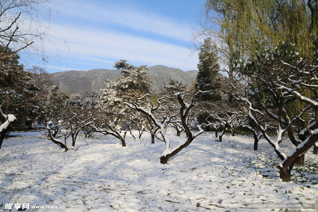 雪景