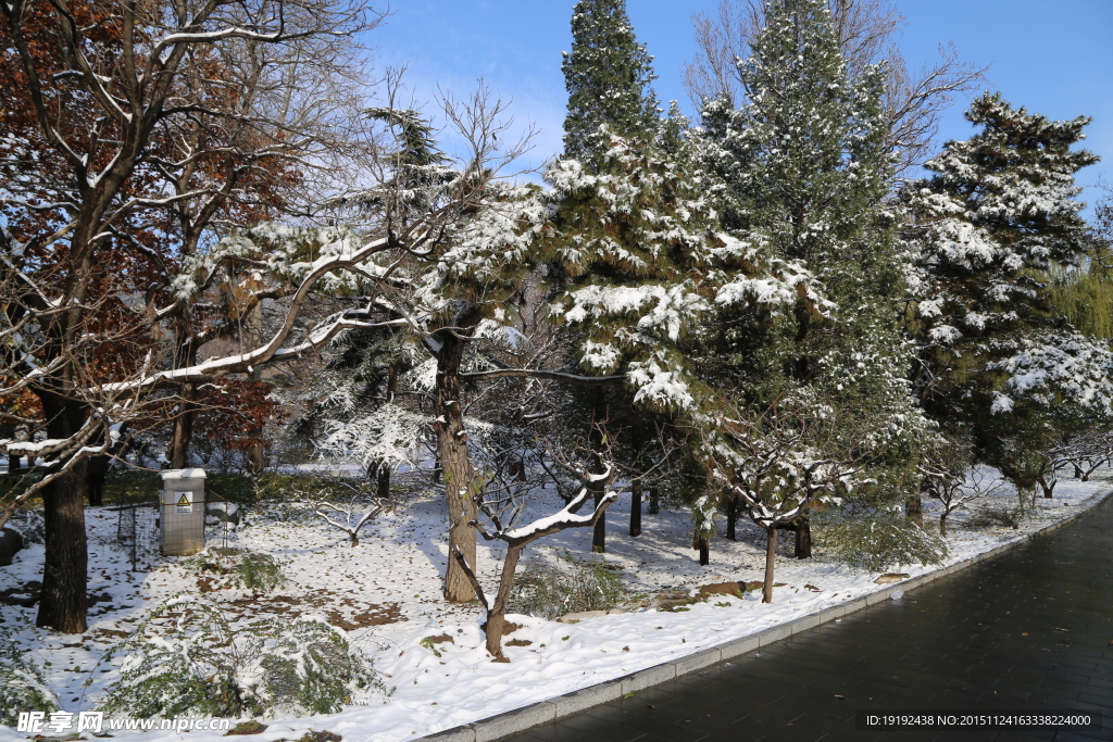 绿化景观冬雪