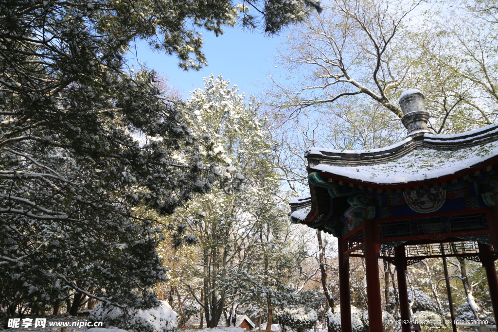 雪景